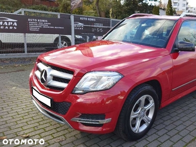 Mercedes-Benz GLK 220 CDI (BlueEFFICIENCY)