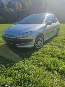 Peugeot 206 1.1 Husky