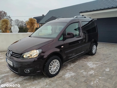 Volkswagen Caddy 1.6 TDI (5-Si.) DSG Edition 30