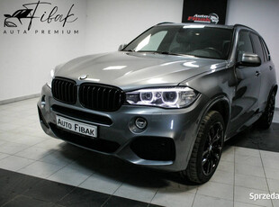 BMW X5 25d*xDrive*Salon Polska*Mpakiet*Vat23% F15 (2013-)