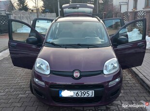 Fiat Panda 1.2 Krajowy Bezwypadkowy śliczny!