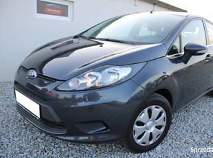 Ford Fiesta MK7 2010 1.4 BENZYNA