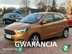 Ford Ka Inne