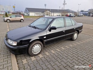 Nissan Primera P10 rejestracja 06.1990 rok. Najstarszy w tej części Europy