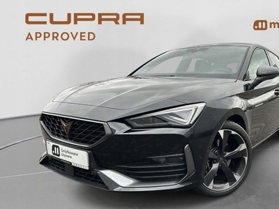 Cupra 2022