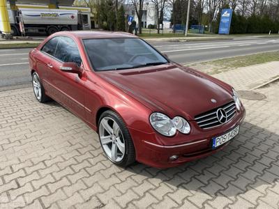 Mercedes-Benz Klasa CLK W209/A209 Mercedes-Benz Klasa CLK CLK 270 CDI Avantgarde