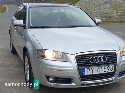 Audi A3 8P