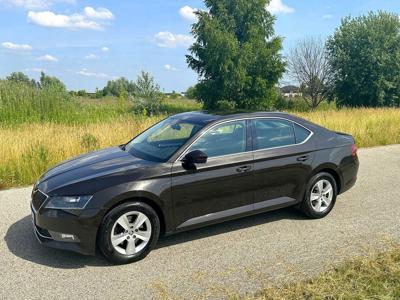 Skoda Superb III Liftback 1.6 TDI 120KM 2018