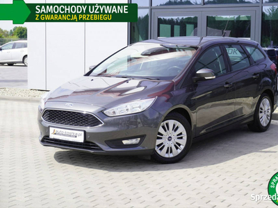 Ford Focus Grzane fotele, Navi, Tempomat, Czujniki, Klima, LED, GWARANCJA …