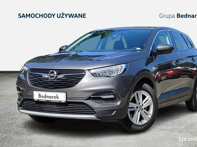 Opel Grandland X Bezwypadkowy / Salon Polska / Serwis ASO