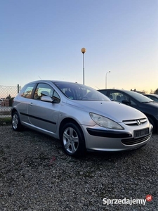 Peugeot 307 2.0 Benzyna
