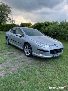 Peugeot 407 Peugeot 407 2.0 Benzyna+LPG 2007 rok