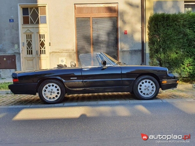 Alfa Romeo Spider