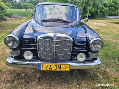 Mercedes w110 1966 r. zarejestrowany na żółte tablice i ube