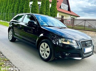 Audi A3 1.6 Attraction