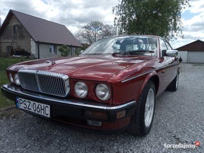 Jaguar Daimler XJ 81 V12