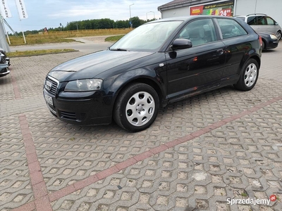 AUDI A3 8P SALON POLSKA