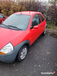 Ford Ka 1.3 Benzyna 2008 rok