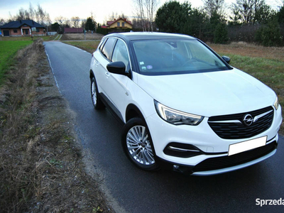 Opel Grandland X 1.2 Benzyna Turbo 130KM*Oryginał*ASO*LEDY*…