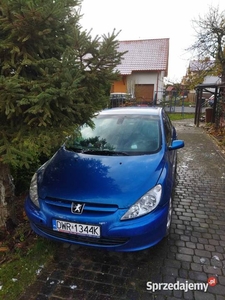 Peugeot 307 1.6 // 2002r. // benzyna