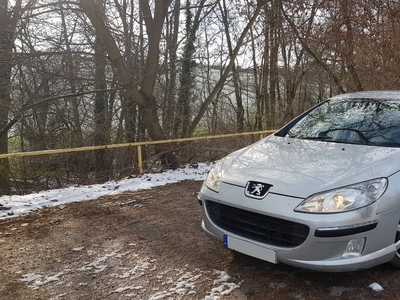 Peugeot 407 1.6HDi 110KM 2005