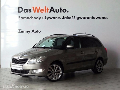 Używane Škoda Fabia Elegance 1.2 TSI 105 KM, Amundsen+, Climatronic, Podgrzewane fotele