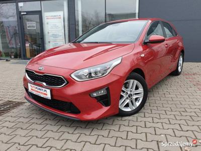 KIA Ceed, 2019r. Salon PL/Niski przebieg