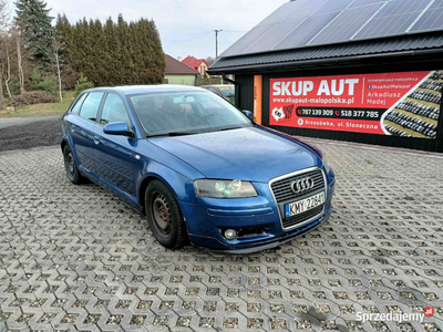 Audi a3 1.9 TDI 105Km 06r