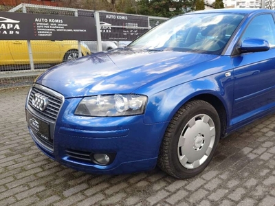 Audi A3 8P Hatchback 3d 1.6 102KM 2007