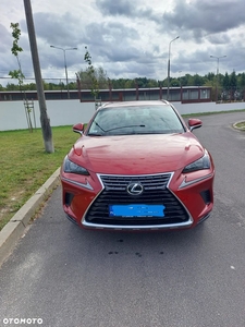 Lexus NX 300 Elegance AWD