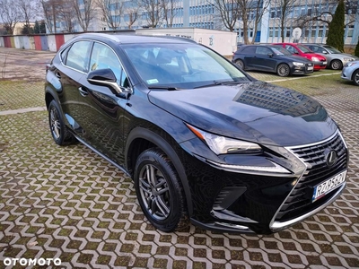 Lexus NX 300 Elegance AWD