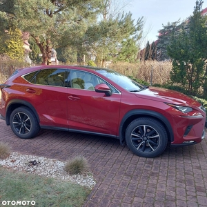 Lexus NX 300 Prestige AWD