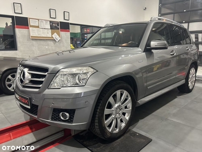 Mercedes-Benz GLK 220 CDI (BlueEFFICIENCY)