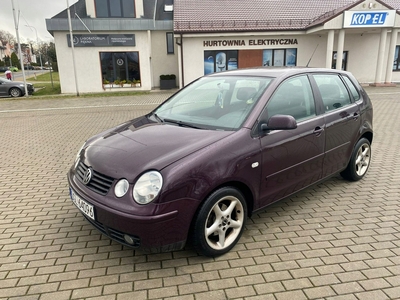 Volkswagen Polo IV Hatchback 1.9 TDI 101KM 2004