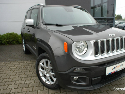 Jeep Renegade Nawigacja.Zarejestrowany I (2014-)