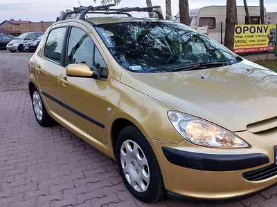 Peugeot 307 1,6 benzyna+LPG