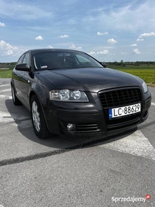 Audi A3 8P 1.9 TDI Sportback 5-drzwi Duży grill