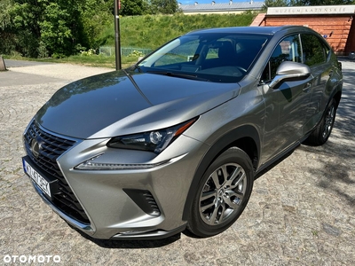 Lexus NX 300 Elegance AWD