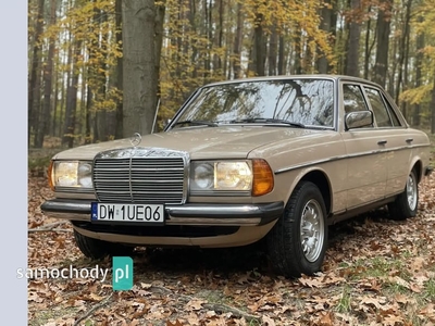 Mercedes-Benz W123