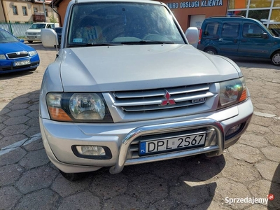 Mitsubishi Pajero 2001 b+g