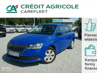 Skoda Fabia III 1.0 TSI/95KM Ambition Salon PL Fvat 23% DW5FG18