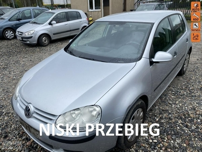 Volkswagen Golf V Niski przebieg, 5 drzwi, CLIMAtronic, isofix, zadbany,przegląd do 20