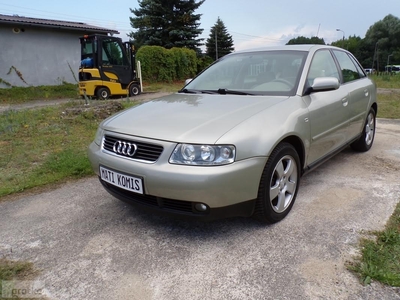 Audi A3 I (8L) 1.6 Bena.102KM Super Ładny Stan