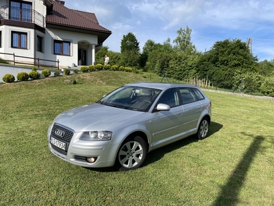 Audi A3 II (8P) Audi A3 2.0 TDI QUATTRO - Polecam, bez DPF