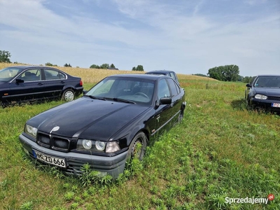 Bmw e36