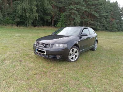 Audi a3 8p 2003r 2.0tdi