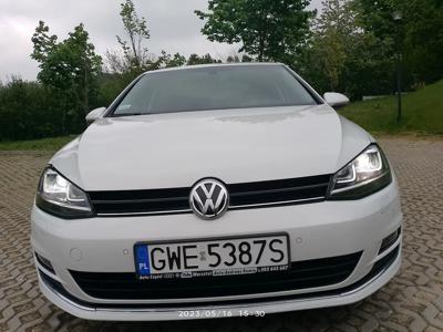 Używane Volkswagen Golf - 45 900 PLN, 95 000 km, 2016