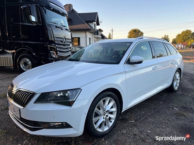 Skoda Superb BDB perła