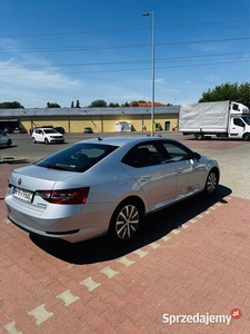 Skoda Superb z Polskiego salonu