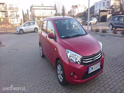 Używane Suzuki Celerio Benzyna 1.0 67KM 2015r.